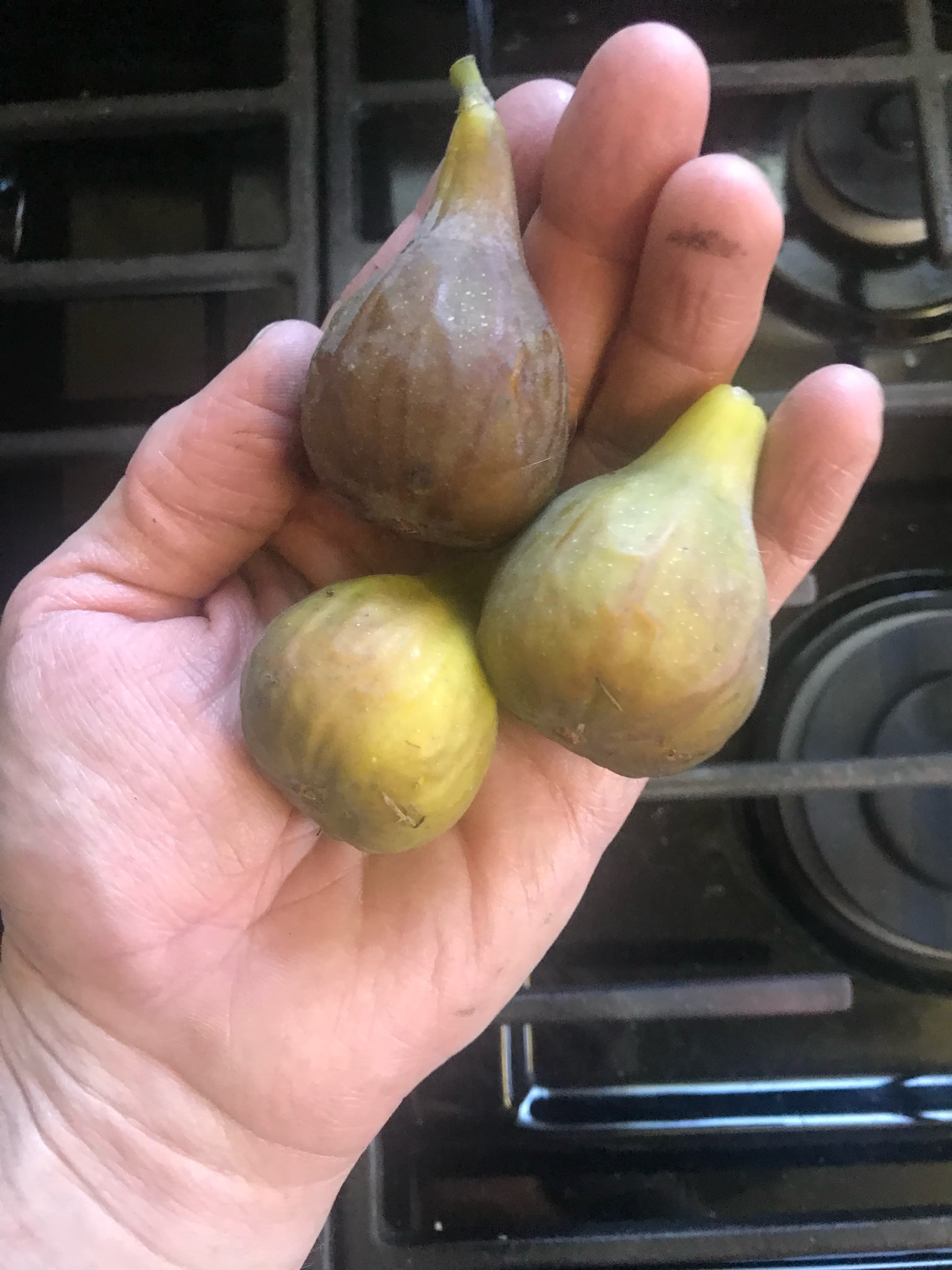 Leaders and residents gathered together at the property